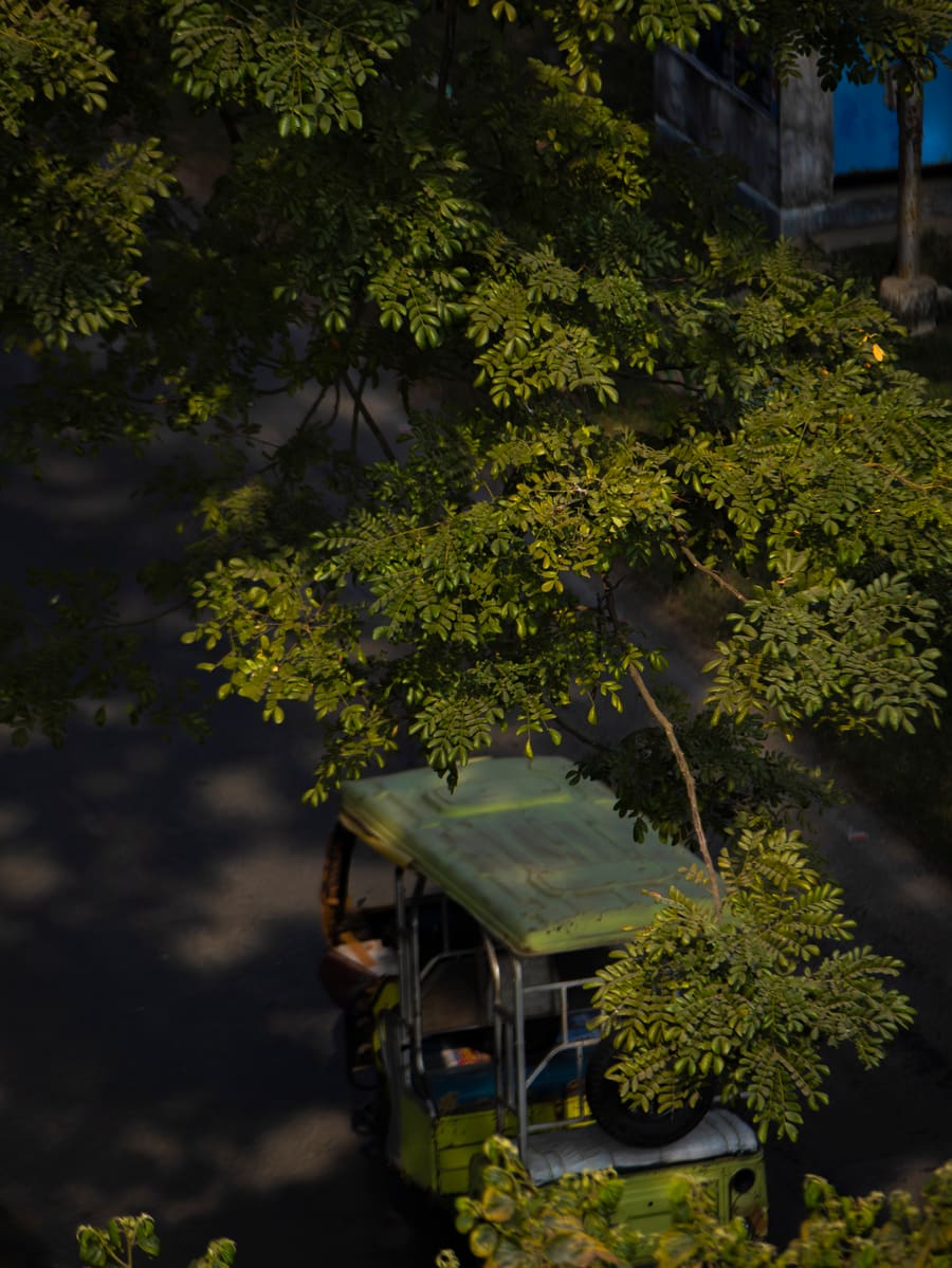 The lifeline of local transport